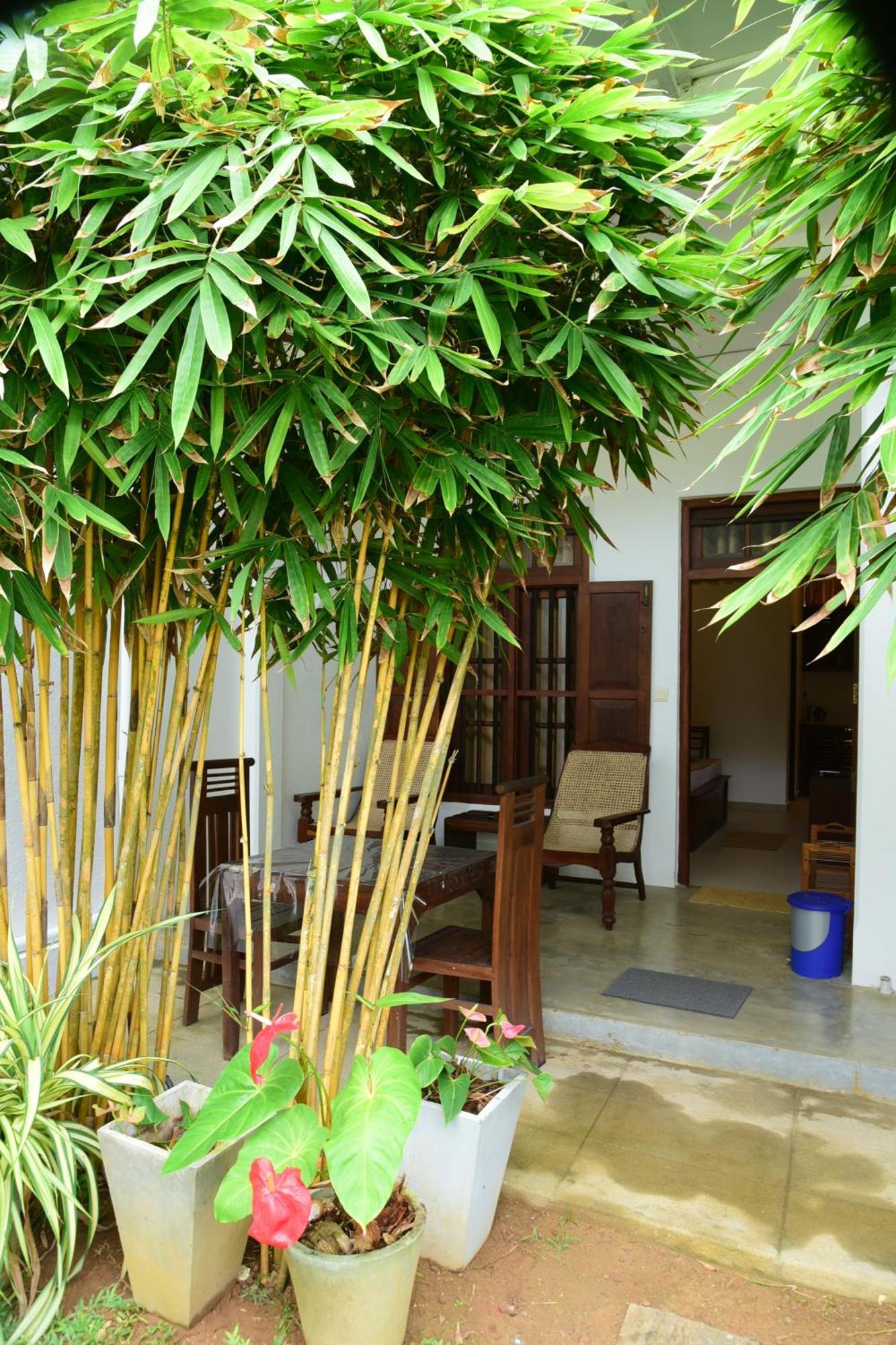 Hotel Tranquil Hikkaduwa Exterior foto